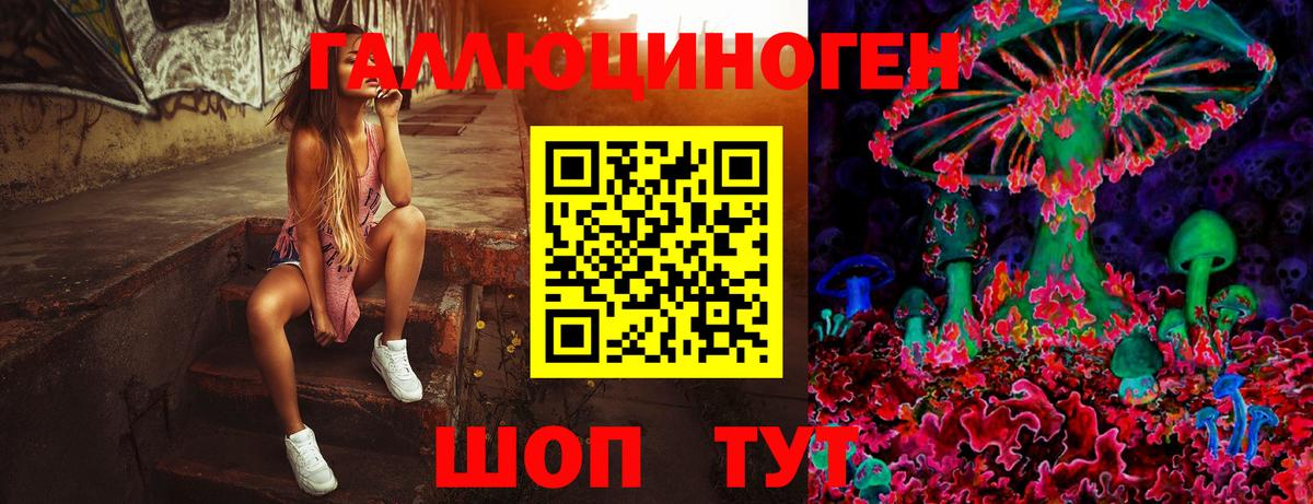 Псилоцибиновые грибы Psilocybine cubensis  Вход с VPN  Карабулак 