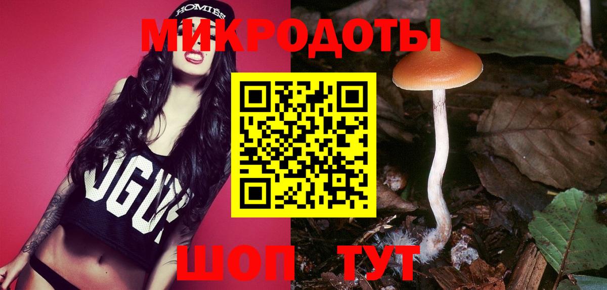 Псилоцибиновые грибы Psilocybe Карабулак